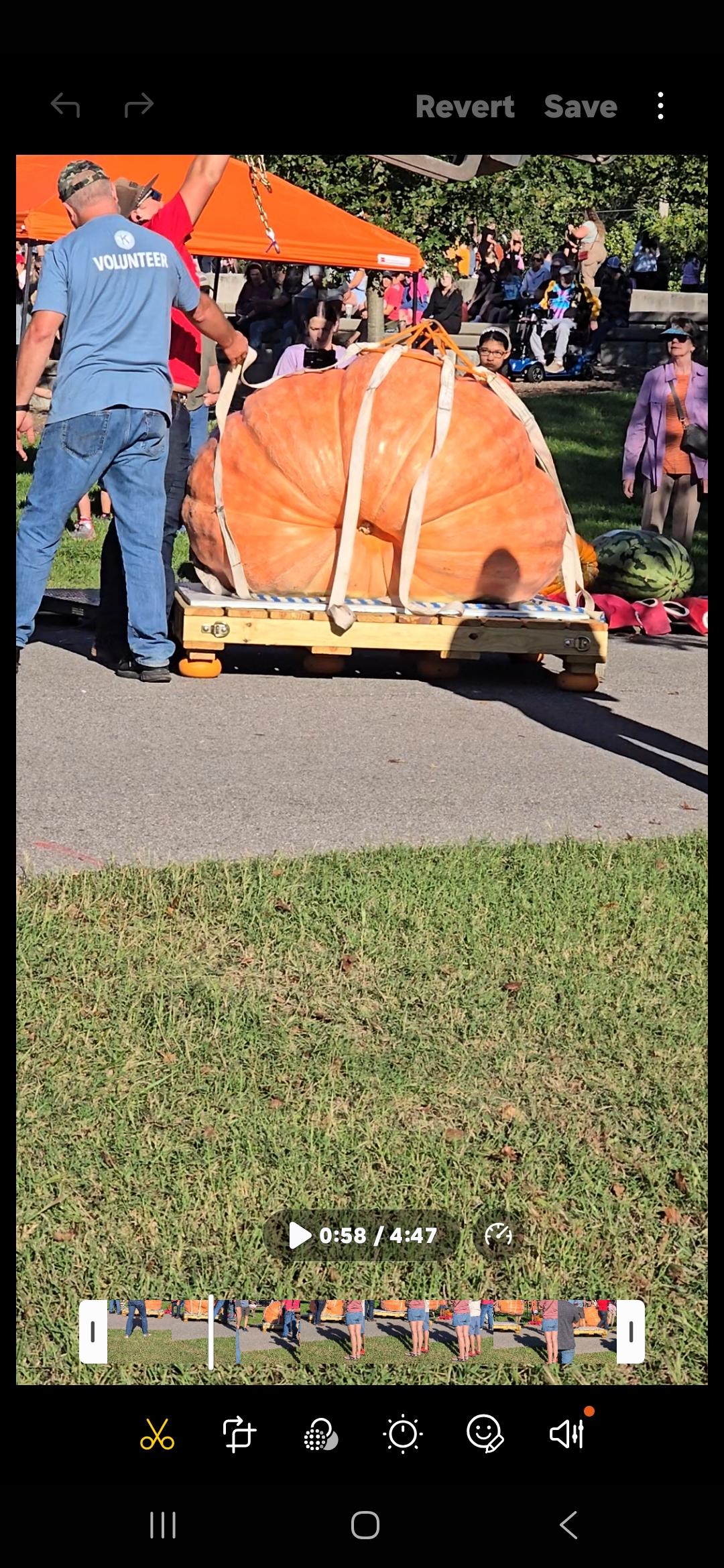 Republic Pumpkin Daze October 3-4 2025