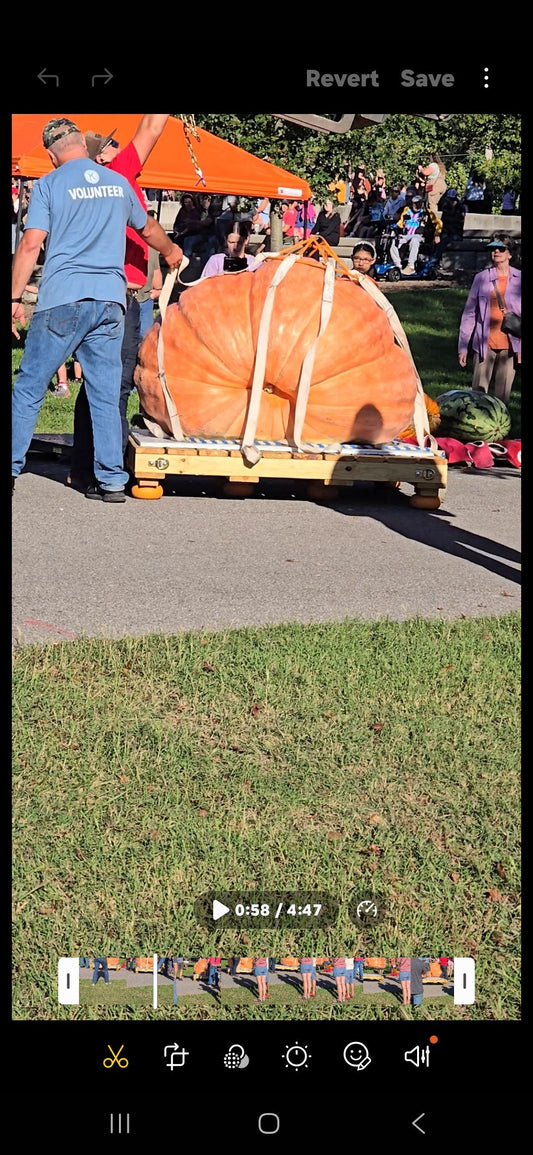 Republic Pumpkin Daze October 3-4 2025